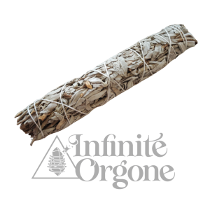 tocha de sálvia (copy)